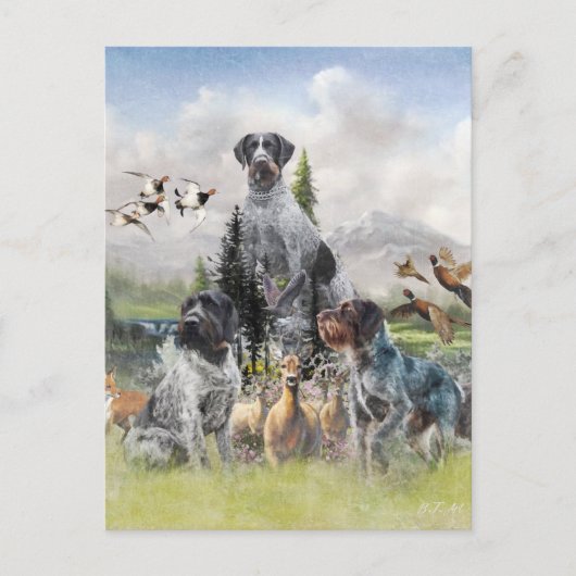 Duitse Staande Hond Draadhaar Briefkaart (Voorkant)