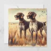 Duitse Staande Hond