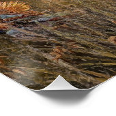 Duitse Staande Hond Korthaar Perfect Poster (Hoek)