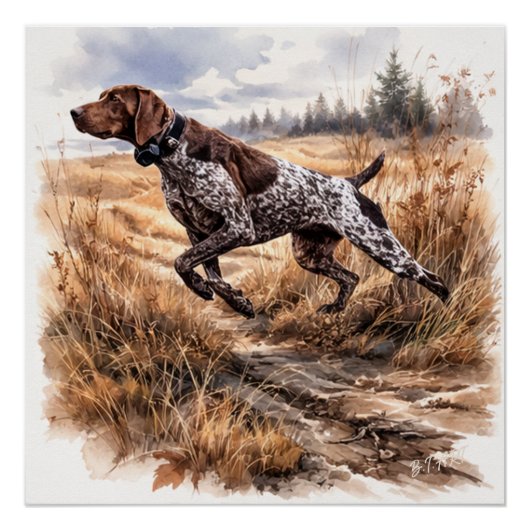  Duitse Staande Hond  Perfect Poster (Voorkant)