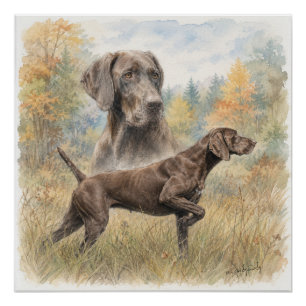 Duitse Staande Hond  Perfect Poster