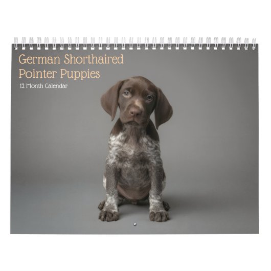Duitse Staande Hond Puppies 2027 Kalender (Hoes)