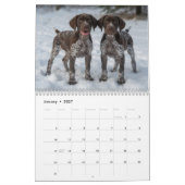 Duitse Staande Hond Puppies 2027 Kalender (Jan 2027)