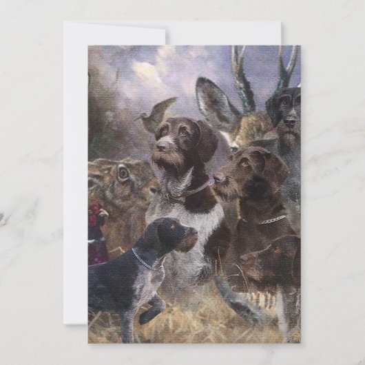 Duitse Staande Hond Ruwhaar Kaart (Voorkant)