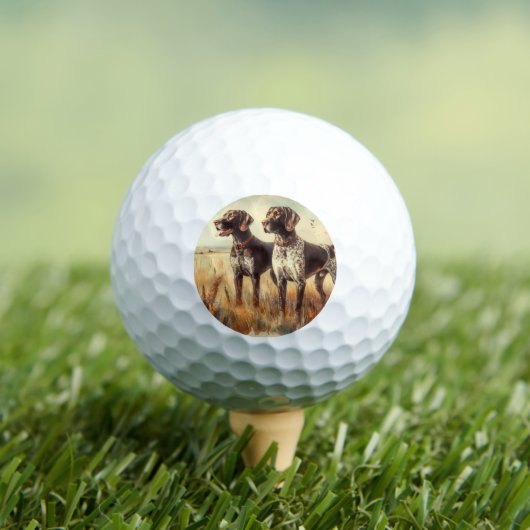 Duitse Staande Pointer Golfballen (Insitu Shirt)