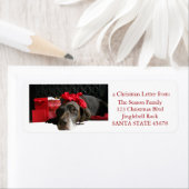 Duitse staande pointer @ open haard etiket (Insitu)