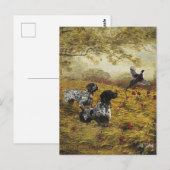 Duitse staande pointers briefkaart (Voorkant / Achterkant)