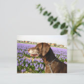Duitse stengelwijzer en bloemen briefkaart (Staand voorkant)