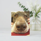 duitse stenografische aanwijzer briefkaart (Staand voorkant)