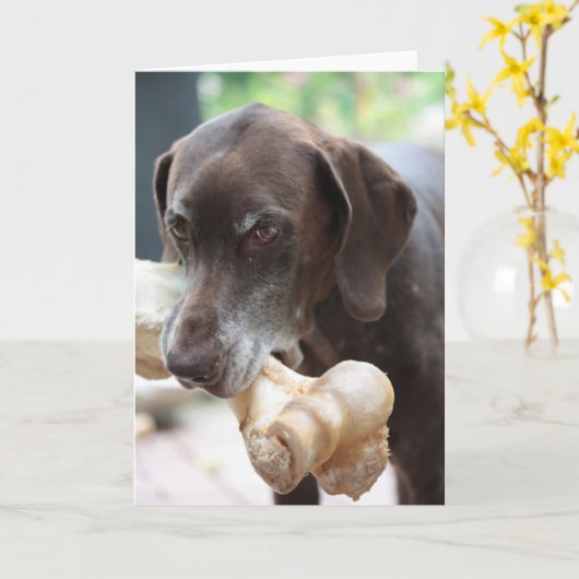 duitse stenografische aanwijzer kaart (Gele Bloem)