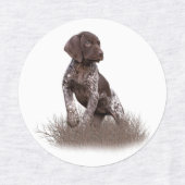 duitse stenografische aanwijzer puppy poster b labels (Design 1)