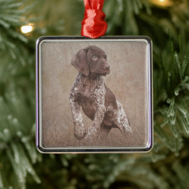 duitse stenografische aanwijzer puppy poster b metalen ornament