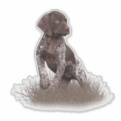 duitse stenografische aanwijzer puppy poster b sticker (Voorkant)