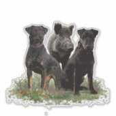 Duitse Sticker Jagddooder (Voorkant)