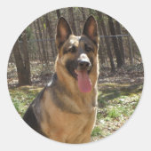 Duitse Stickers van schapen (Voorkant)