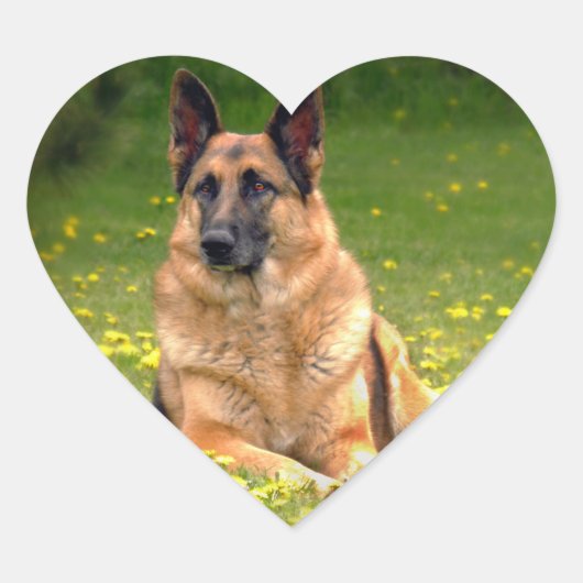 Duitse Stickers van schapen (Voorkant)