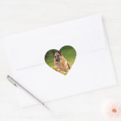 Duitse Stickers van schapen (Envelop)