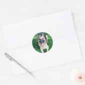 Duitse Stickers van schapen (Envelop)