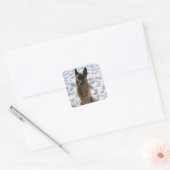 Duitse Stickers van schapen (Envelop)