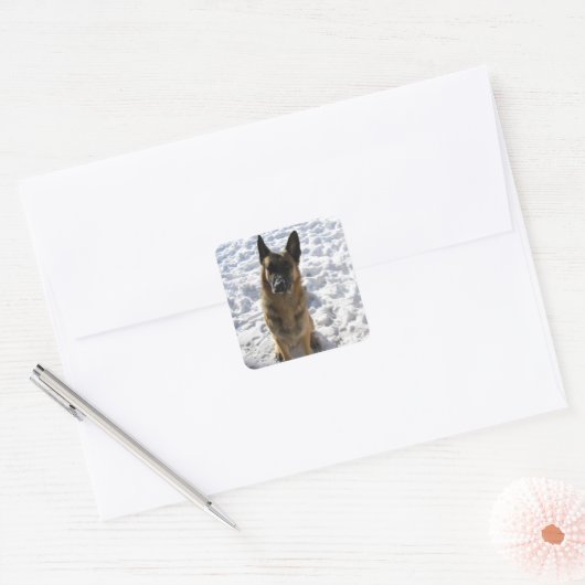 Duitse Stickers van schapen (Envelop)