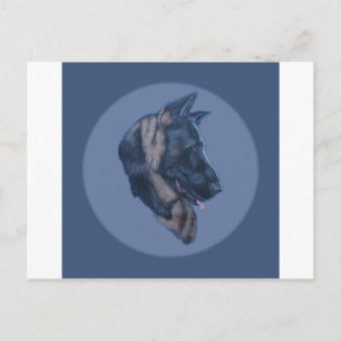 Duitse studie Shepherd Head Briefkaart