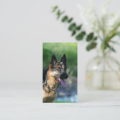 Duitse visitekaartjes van schapen (Staand voorkant)