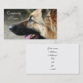 Duitse visitekaartjes van schapen (Voorkant / Achterkant)