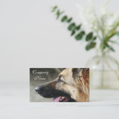 Duitse visitekaartjes van schapen (Staand voorkant)