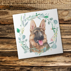 Duitse Waterverf Shepherd Wreater Ceramic Tegel Tegeltje