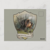 Duitse Wirehaire Pointer, Boar Hunting Briefkaart (Achterkant)