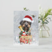 Duitse Wirehaire Pointer, Boar Hunting Kaart (Staand voorkant)