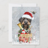 Duitse Wirehaire Pointer, Boar Hunting Kaart (Voorkant)