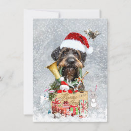 Duitse Wirehaire Pointer, Boar Hunting Kaart