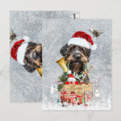 Duitse Wirehaire Pointer, Boar Hunting Kaart (Voorkant / Achterkant)