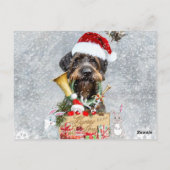 Duitse Wirehaire Pointer, Boar Hunting Kaart (Achterkant)