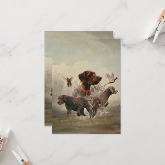 Duitse Wirehaire Pointer, Boar Hunting Kaart (Voorkant / Achterkant in situ)