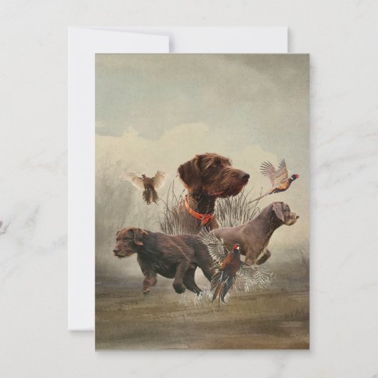 Duitse Wirehaire Pointer, Boar Hunting Kaart (Achterkant)