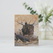 Duitse Wirehaire Pointer, najaarsjacht Briefkaart (Staand voorkant)