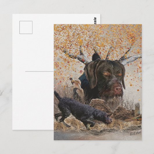 Duitse Wirehaire Pointer, najaarsjacht Briefkaart (Voorkant / Achterkant)