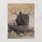Duitse Wirehaire Pointer, najaarsjacht Briefkaart (Voorkant)