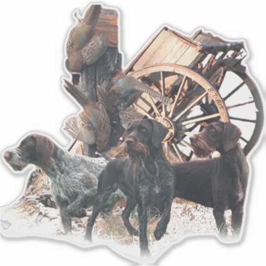 Duitse Wirehaire Pointer sticker (Voorkant)