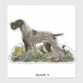 Duitse Wirehaire Pointer sticker (Vel)
