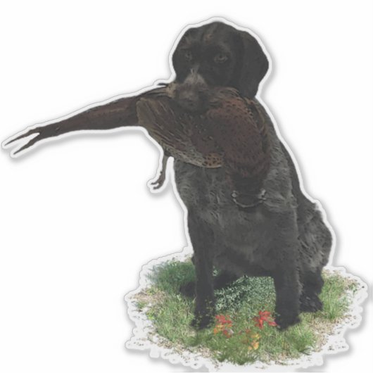 Duitse Wirehaire Pointer sticker (Voorkant)