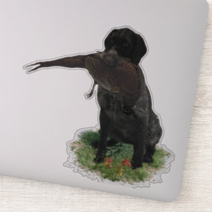 Duitse Wirehaire Pointer sticker