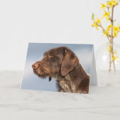 Duitse Wirehaired Pointer Dog Kaart (Gele Bloem)