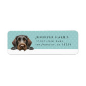 Duitse Wirehaired Pointer retouradreslabels Etiket (Voorkant)