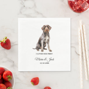 Duitse Wirehaired Pointer Volledige Kleur Pet Brui Servet