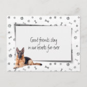 Duitsers Schaapshond Huisdier Troost bij Verlies Briefkaart (Voorkant)