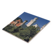 Duitsland, Beieren, Neuschwanstein. Tegeltje (Zijkant)