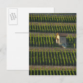Duitsland, Franken, Wertheim. Speciale helling 2 Briefkaart (Voorkant / Achterkant)